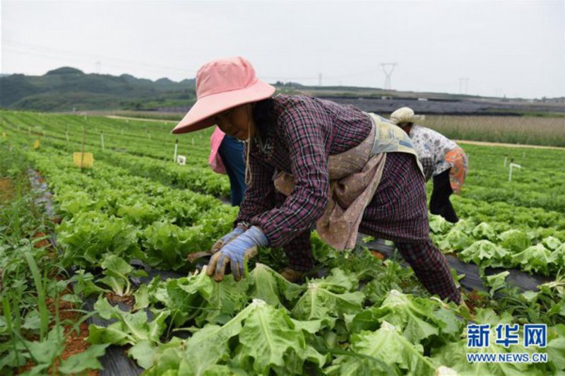 兴农冷库在农产品保鲜中的关键作用