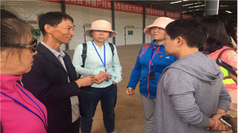 宜良兴农蔬菜产销专业合作社：带动地方特色农业发展