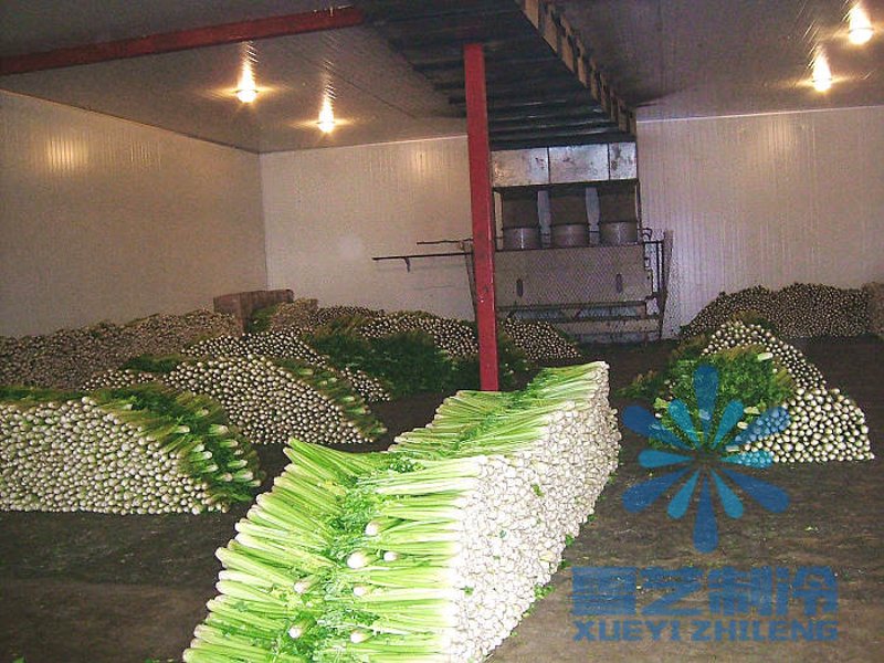 兴农冷库:开启农产品保鲜新篇章