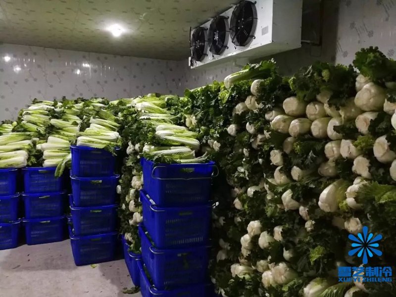蔬菜保鲜冷库
