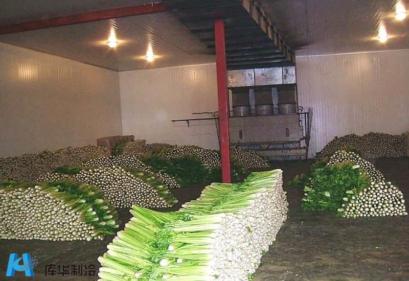 冷库行业新风向:兴农冷库引领农产品保鲜新时代